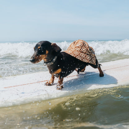 Bloomin Groover Surf Hat